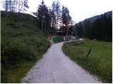 Črnivec - Planina Ravni